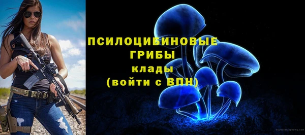гидропоника Балабаново